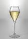 Unbreakable Lounge champagne glass 240 ml - 1/7