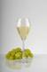 Unbreakable Lounge champagne glass 240 ml - 3/7