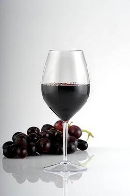 Unbreakable Clubhouse wine glass 510 ml - 3
