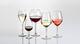 Unbreakable Clubhouse wine glass 510 ml - 4/4